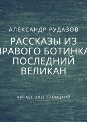 Последний великан — Александр Рудазов