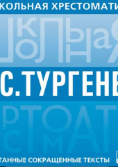 Школьная хрестоматия. Отцы и дети — Иван Тургенев