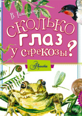 Сколько глаз у стрекозы? — Виталий Танасийчук