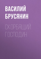 Скорбящий господин — Василий Брусянин