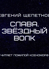 Слава. Звёздный Волк — Евгений Щепетнов