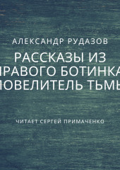 Повелитель Тьмы — Александр Рудазов