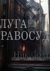 Слуга правосудия — Ник Солт