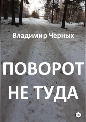 Поворот не туда — Владимир Черных