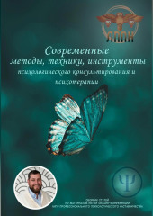 Современные методы, техники, инструменты психологического консультирования и психотерапии — Василий Сластихин