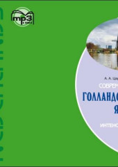 Современный голландский язык. Интенсивный курс — А. Царегородцев