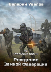 Стальные Волки. Рождение Земной Федерации — Валерий Увалов