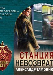 Станция невозврата — Александр Тамоников