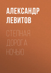 Степная дорога ночью — Александр Левитов