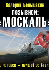 Позывной: «Москаль». Наш человек – лучший ас Сталина — Валерий Большаков