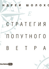 Стратегия попутного ветра. Как обнаружить или создать асимметрии, способные придать бизнесу ускорение — Андрей Шолохов