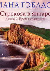 Стрекоза в янтаре. Книга 2. Время сражений — Диана Гэблдон