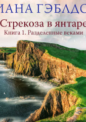 Стрекоза в янтаре. Книга 1. Разделенные веками — Диана Гэблдон