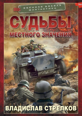 Судьбы местного значения — Владислав Стрелков