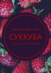 Суккуба — Евгений Щепетнов