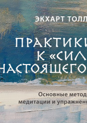 Практики к «Силе настоящего». Основные методы, медитации и упражнения — Экхарт Толле