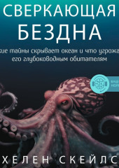 Сверкающая бездна. Какие тайны скрывает океан и что угрожает его глубоководным обитателям — Хелен Скейлс