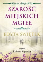 Szarość miejskich mgieł — Edyta Świętek