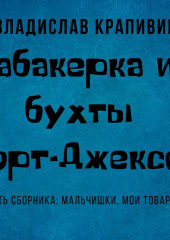 Табакерка из бухты Порт-Джексон — Владислав Крапивин