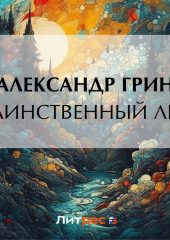 Таинственный лес — Александр Грин