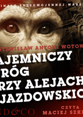 Tajemniczy wróg przy Alejach Ujazdowskich — Stanisław Antoni Wotowski