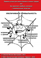 Правила успеха для малого бизнеса в малых городах, или Как увеличить прибыль компании с минимальными затратами — Михаил Соболев