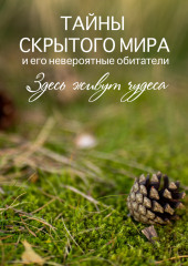 Тайны скрытого мира и его невероятные обитатели. Здесь живут чудеса. — Елена Носова