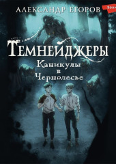 Темнейджеры. Каникулы в Чернолесье — Александр Егоров