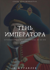 Тень Императора: Восхождение и Падение Наполеона — Андрей Журавлев