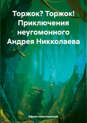 Торжок? Торжок! Приключения неугомонного Андрея Никколаева — Ефрем Новоторжский