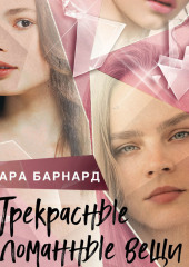 Прекрасные сломанные вещи — Сара Барнард