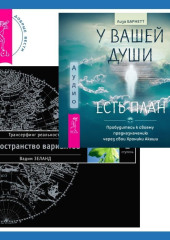 У вашей души есть план. Пробудитесь к своему предназначению через свои Хроники Акаши + Трансерфинг реальности. Ступень I — Вадим Зеланд,                           Лиза Барнетт