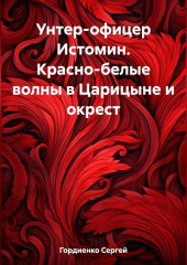 Унтер-офицер Истомин. Красно-белые волны в Царицыне и окрест — Сергей Гордиенко