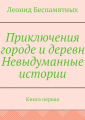 Приключения в городе и деревне. Невыдуманные истории. Книга первая — Леонид Беспамятных