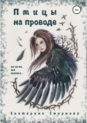 Птицы на проводе — Екатерина Смирнова