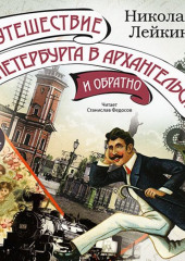 Путешествие из Петербурга в Архангельск и обратно — Николай Лейкин