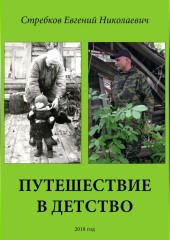 Путешествие в детство — Евгений Стребков