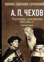 Рассказы, юморески 1880 – 1882 г.г. Том 2 — Антон Чехов