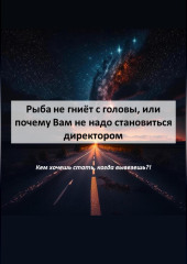 Рыба не гниёт с головы, или Почему Вам не надо становиться директором — Тимур Чумаков