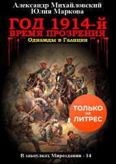 Год 1914-й. Время прозрения — Александр Михайловский,                           Юлия Маркова