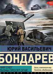 Горячий снег. Батальоны просят огня — Юрий Бондарев