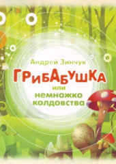 Грибабушка или Немножко колдовства (спектакль) — Андрей Зинчук