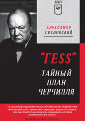 «ГESS». Тайный план Черчилля — Александр Сосновский